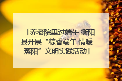 养老院里过端午 衡阳县开展“粽香端午 情暖蒸阳”文明实践活动